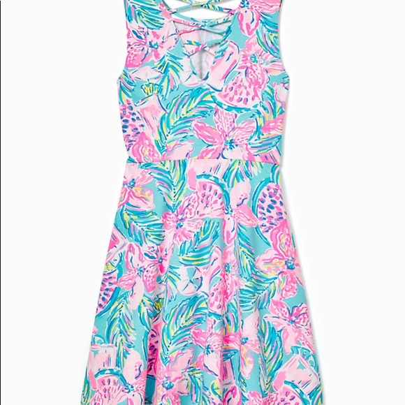 Lilly Pulitzer Carice dress - Picture 2 of 4